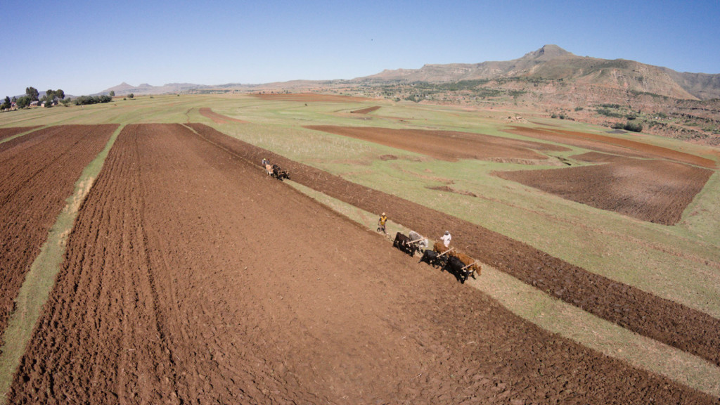 farmingGodsWayOverPloughedFeb2015