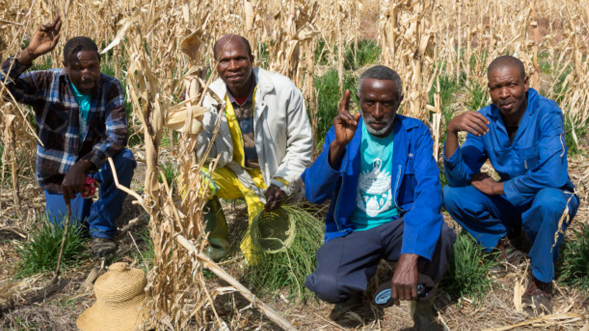 Lesotho – Growing Nations update - Africa Inland Mission (Europe)