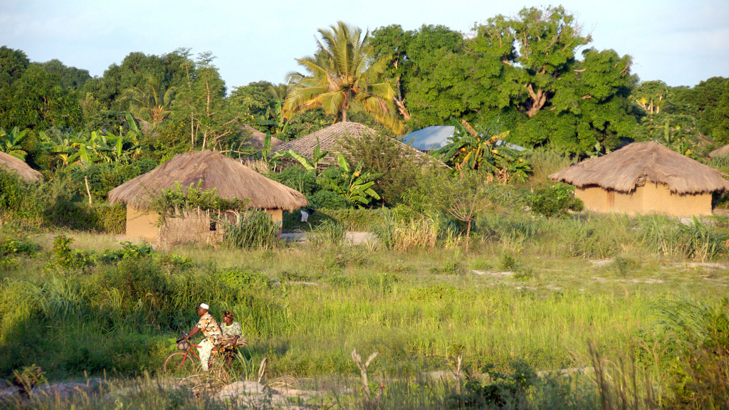 mobilising-mozambique2